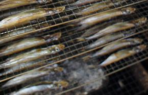 ししゃもの燻製
